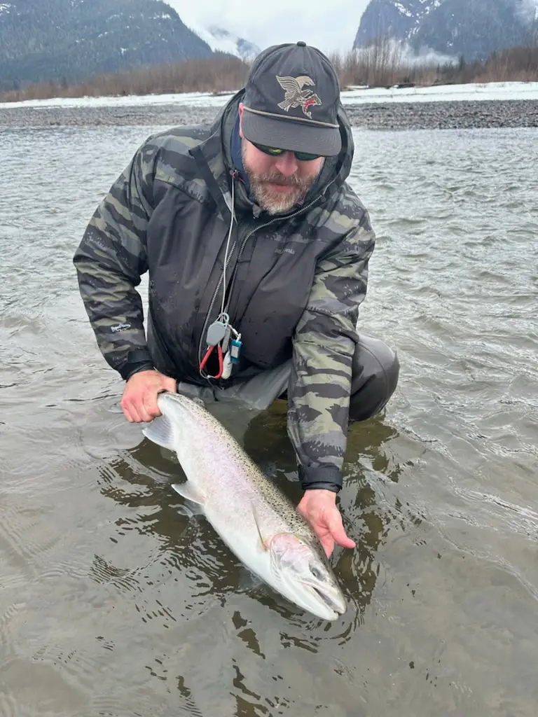 Kyle Ostenson kneeling in a river holding a bright wild steelhead before release, with snow-dusted mountains rising behind him.