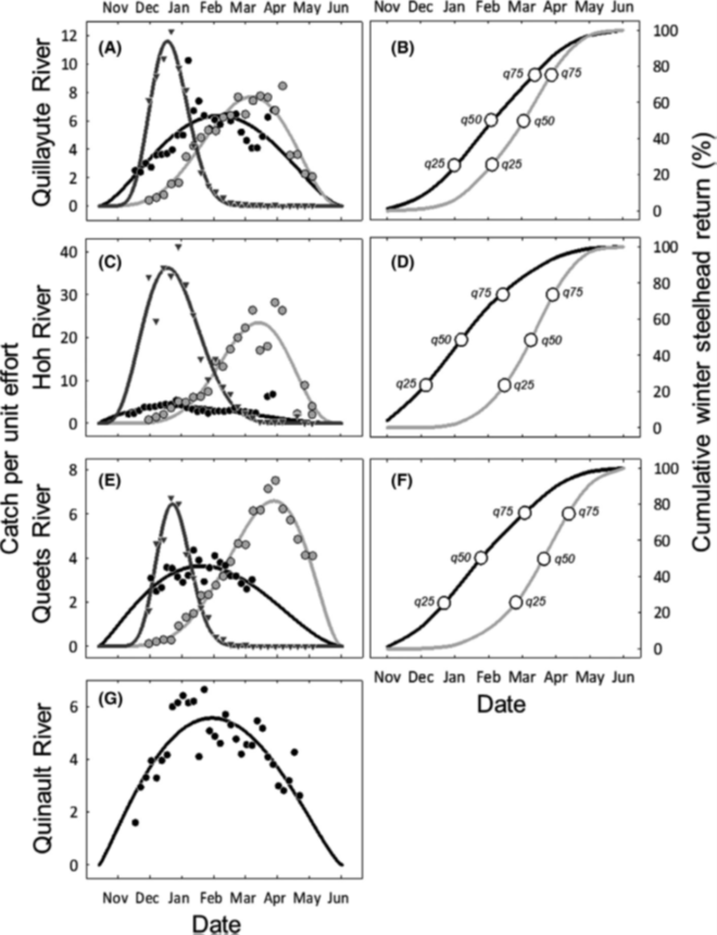 Historical and contemporary run timing of wild and hatchery winter steelhead in Quillayute, Hoh, Queets, and Quinault rivers