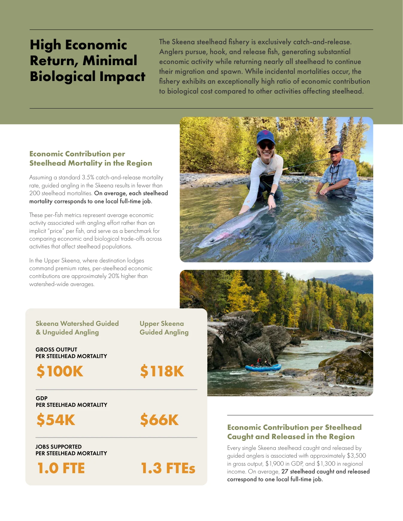 Skeena steelhead economic summary report, page 3.