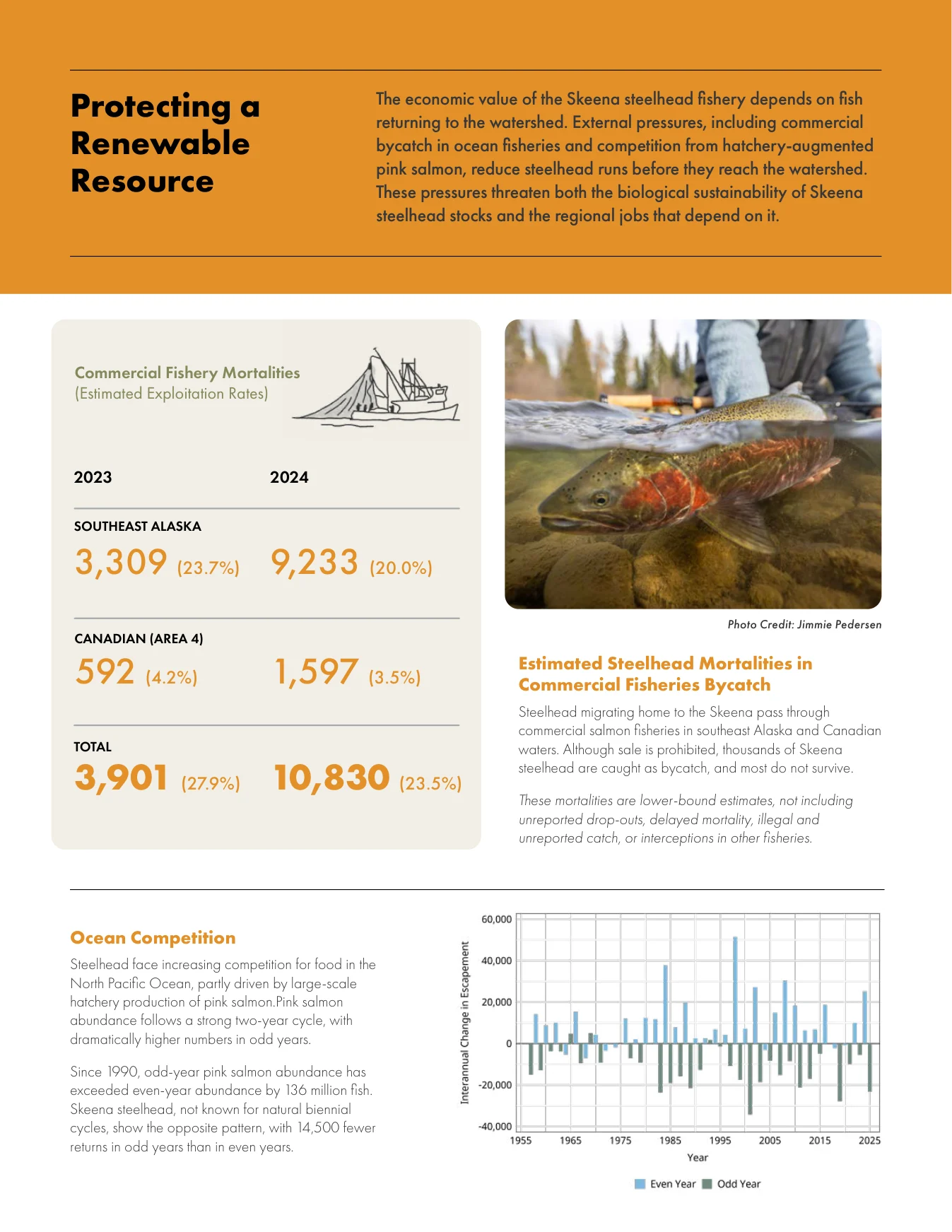 Skeena steelhead economic summary report, page 4.