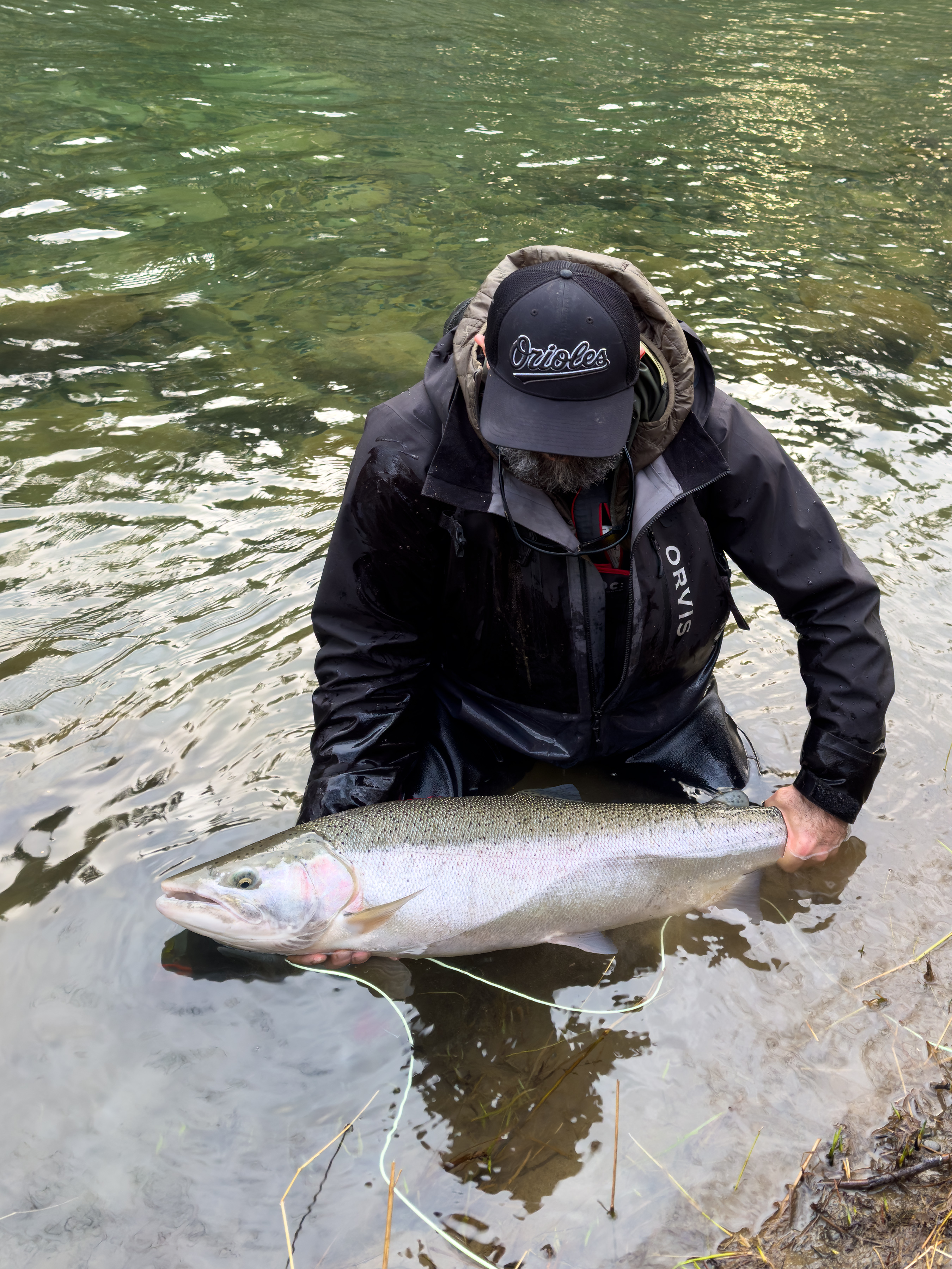 Angler with winter steelhead