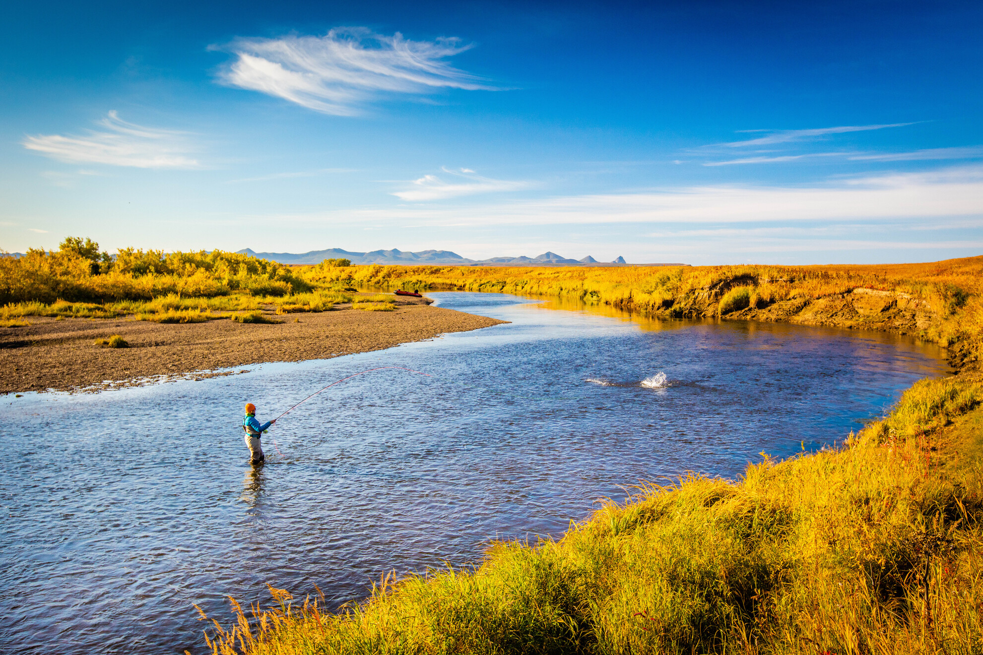 Angler fighting steelhead on Kamchatka river